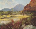 /album/resim-galerisi/a4167-desert-beauty-posters-jpg/