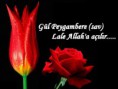 /album/resim-galerisi/a1wo8-jpg/