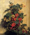 /album/resim-galerisi/akkeringa-johannes-evert-indian-cress-jpg/