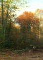/album/resim-galerisi/bakhuyzen-julius-jacobus-van-de-sande-a-woodcutter-at-work-1883-oil-on-canvas-jpg/