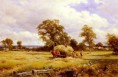 /album/resim-galerisi/bates-david-a-warwickshire-hayfield-jpg/