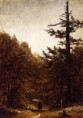 /album/resim-galerisi/gifford-sanford-robinson-a-forest-road-jpg/