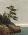 /album/resim-galerisi/kensett-john-f-the-old-pine-darien-connecticut-jpg/